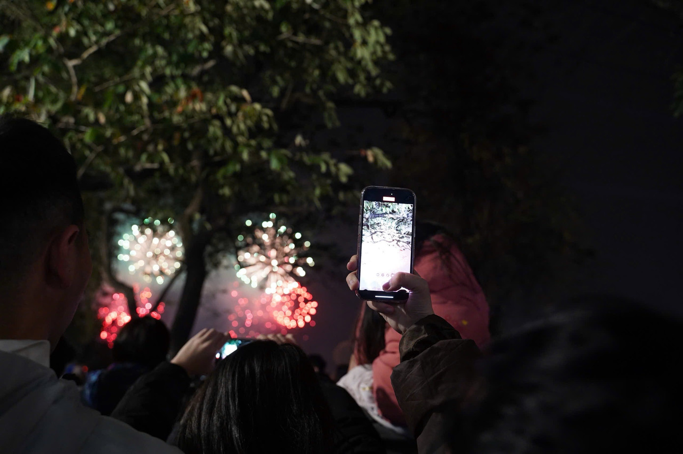 Pháo hoa rực sáng đón năm mới Ất Tỵ an lành, thịnh vượng ảnh 184 Pháo hoa rực sáng đón năm mới Ất Tỵ an lành, thịnh vượng ảnh 184