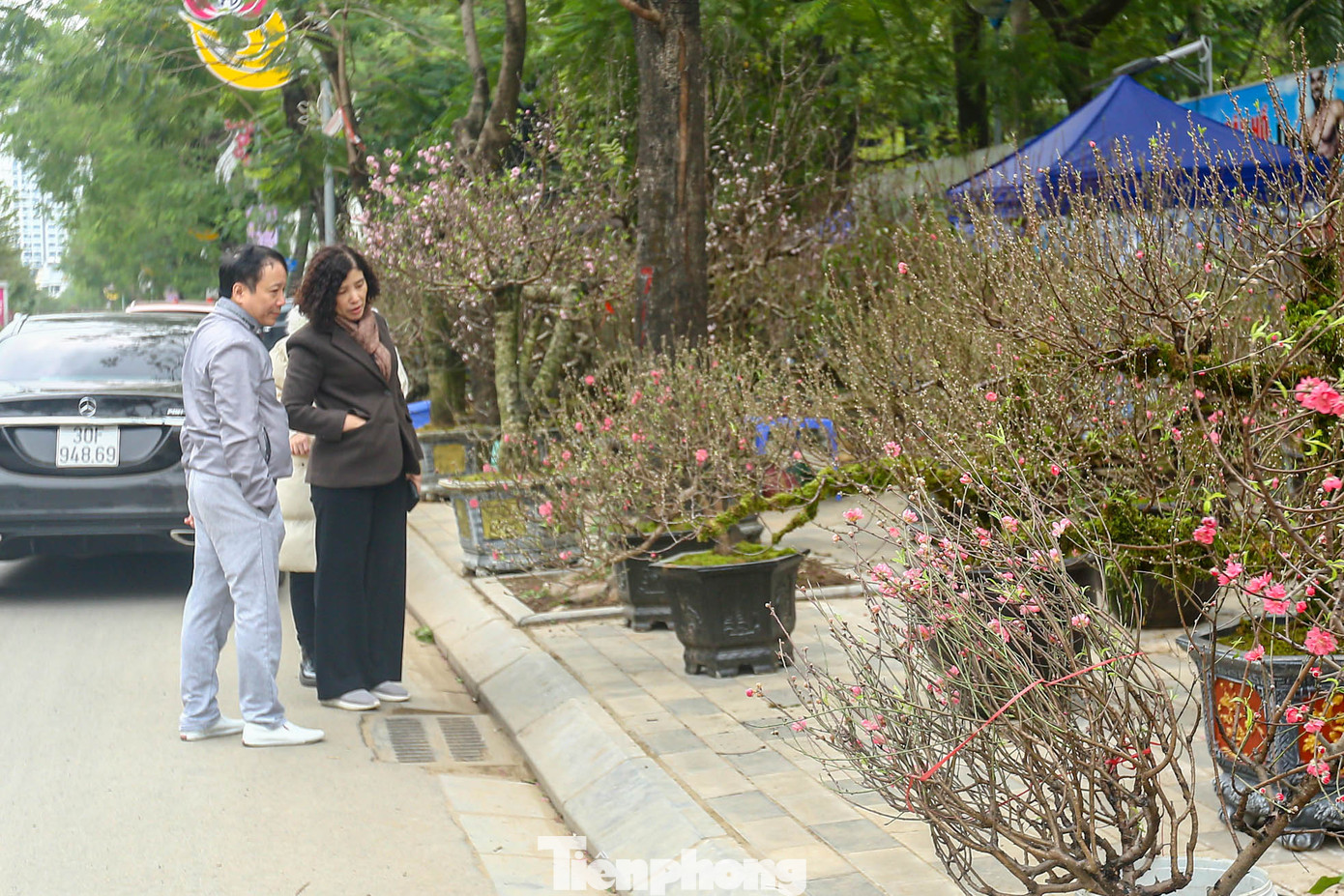 Nhiều người tiêu dùng thích thú, ngắm những cây đào phủ đầy rêu trên phố.