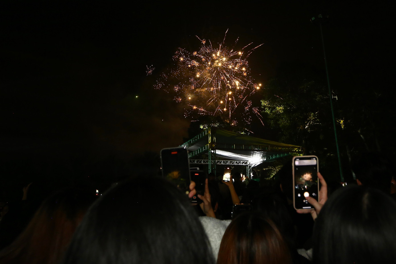 Pháo hoa phát sáng trên bầu trời với nhiều hình dạng khác nhau.