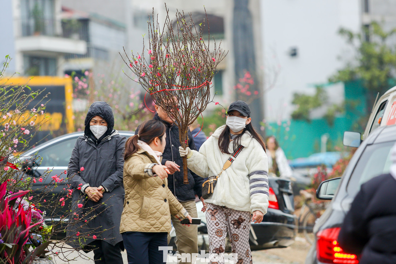 Một số nhà vườn cắt cành đào sớm để bán ngày Rằm tháng Chạp.
