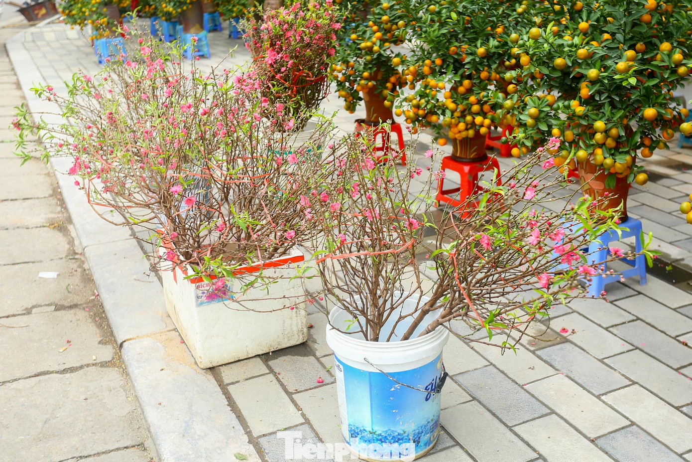 Trong ngày Rằm tháng Chạp, nắm bắt được nhu cầu của người tiêu dùng, các tiểu thương đều cắt những cành đào dăm, đào cành nhỏ để bán. Đây cũng là mặt hàng bán chạy nhất trong ngày hôm nay.