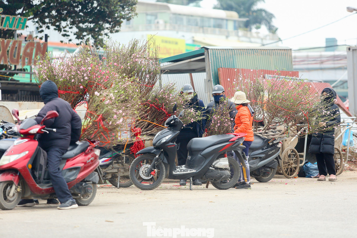 Khu vực chợ hoa Quảng Bá tấp nập những xe chở đầy đào dăm, đào cành nhỏ phục vụ ngày Rằm tháng Chạp.