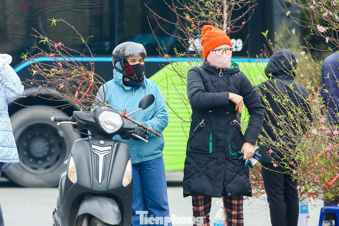 Giá đào cành, đào dăm dao động từ 40.000 -200.000 đồng tùy theo kích thước, số lộc trên cành.