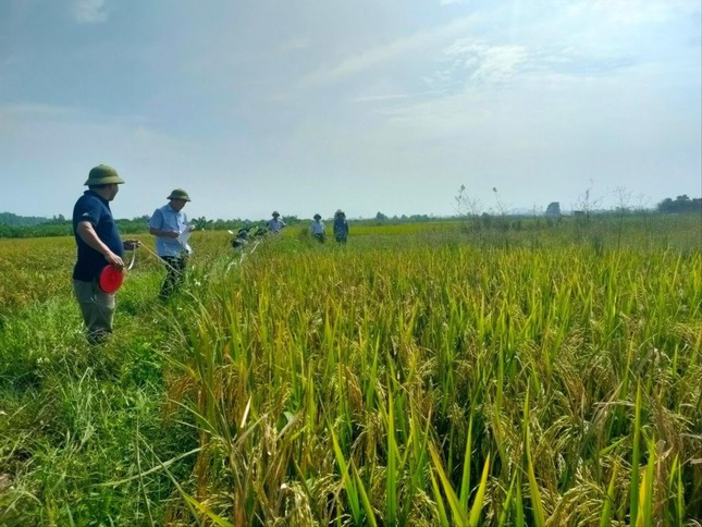 Luật Đất đai sửa đổi bổ sung nhiều quy định mới về sử dụng đất nông nghiệp theo hướng phát triển nông nghiệp tập trung, áp dụng công nghệ cao. Ảnh: TH.