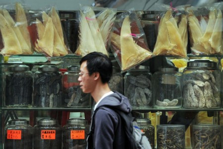 Vi cá mập bày bán tại Trung Quốc
