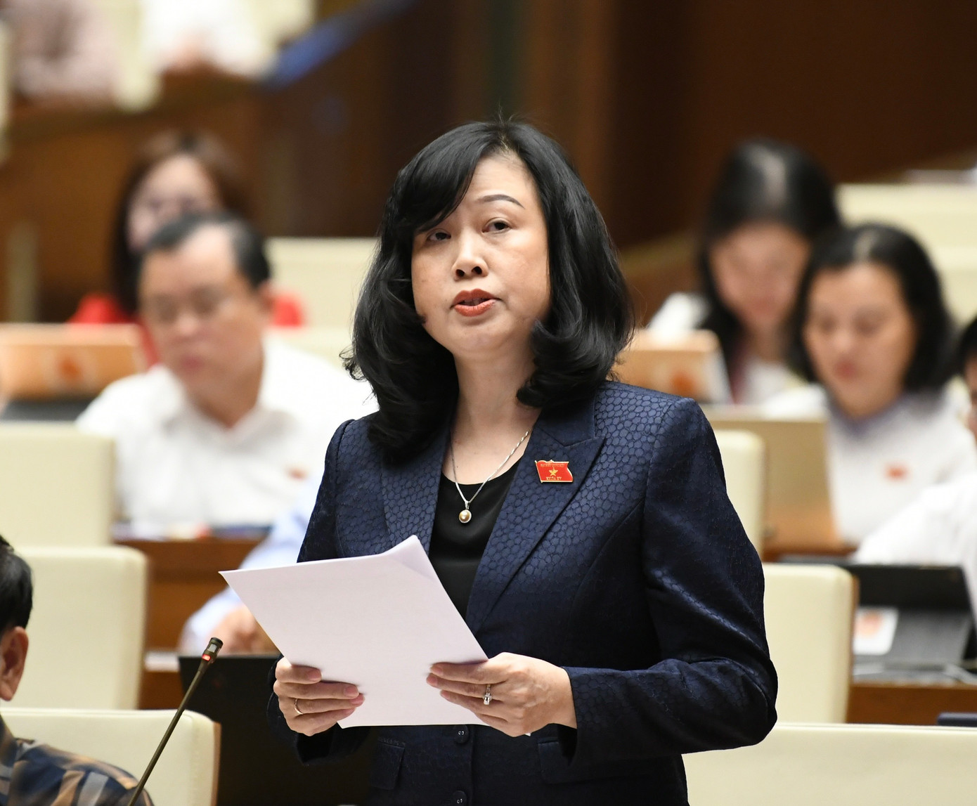 Bộ trưởng Bộ Y tế Đào Hồng Lan Bộ trưởng Bộ Y tế Đào Hồng Lan