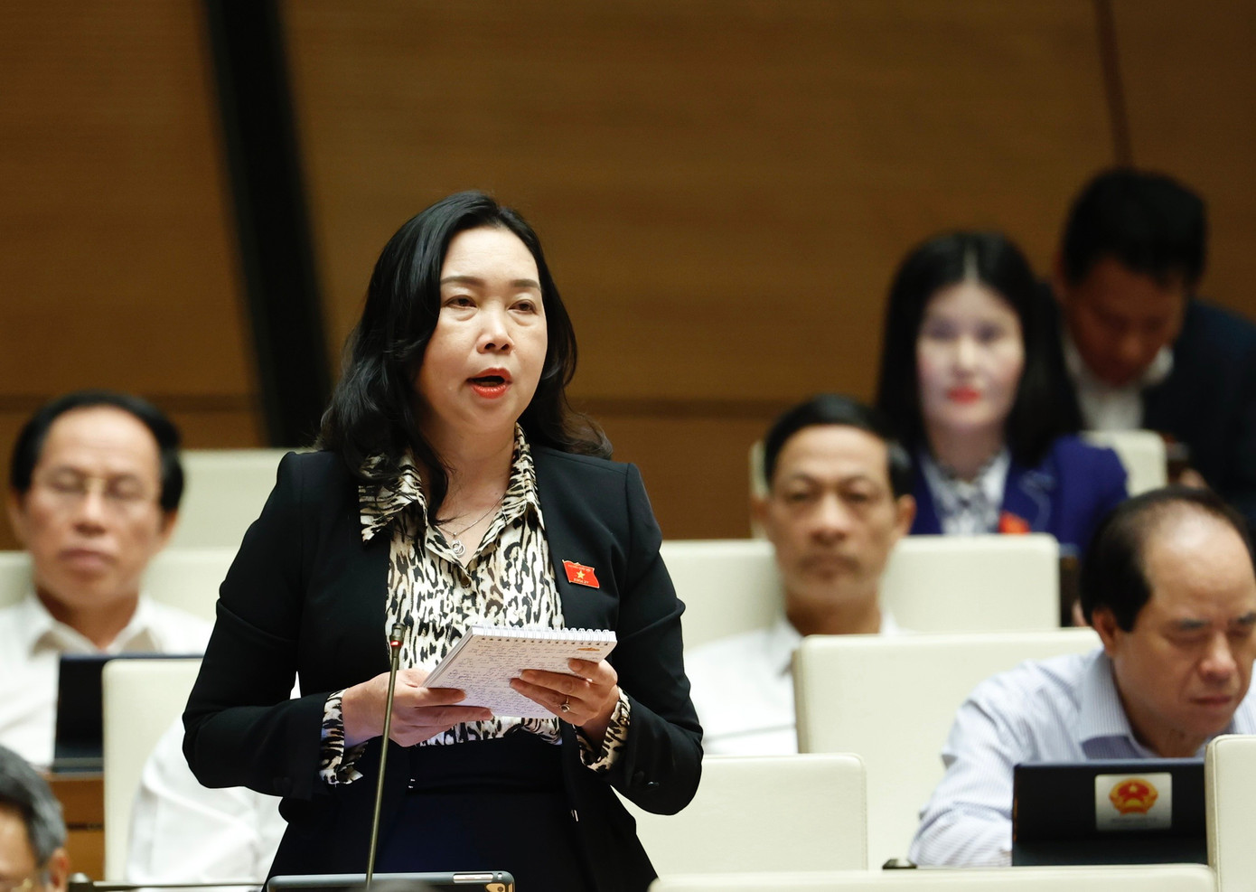 ĐBQH Lý Tiết Hạnh (Bình Định). Ảnh: Như Ý. ĐBQH Lý Tiết Hạnh (Bình Định). Ảnh: Như Ý.