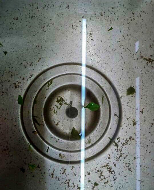 Mới chớm hè, cả chung cư phải dùng nước sinh hoạt như ‘nước cống’ ảnh 3