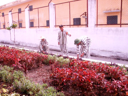 Các trại viên đang cải tạo lao động