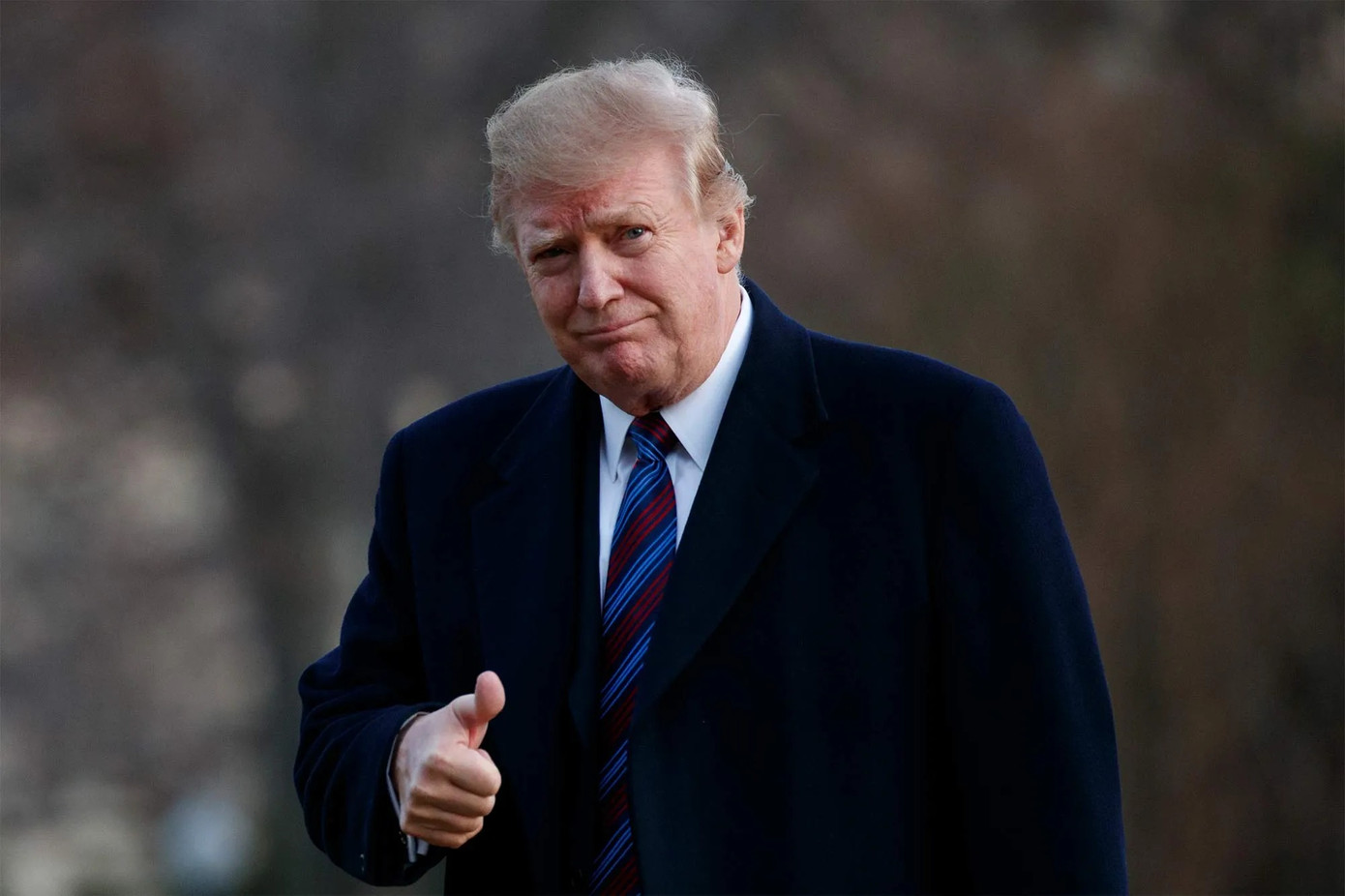 Tổng thống đắc cử Mỹ Donald Trump. (Ảnh: AP) Tổng thống đắc cử Mỹ Donald Trump. (Ảnh: AP)