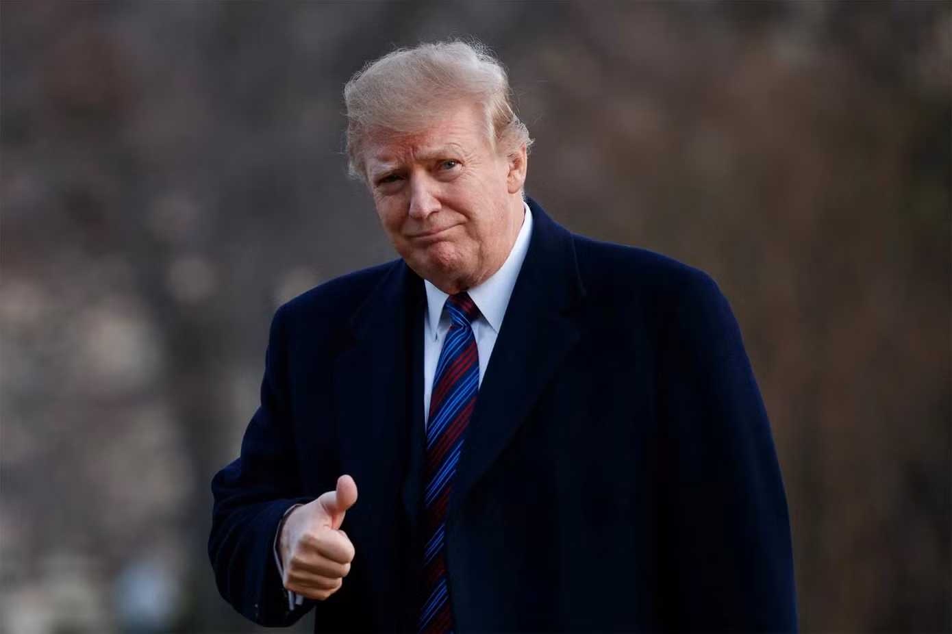 Tổng thống đắc cử Mỹ Donald Trump. (Ảnh: AP)