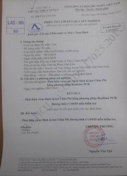 Tiêu huỷ 80 con lợn tại ổ dịch Nam Định ảnh 1