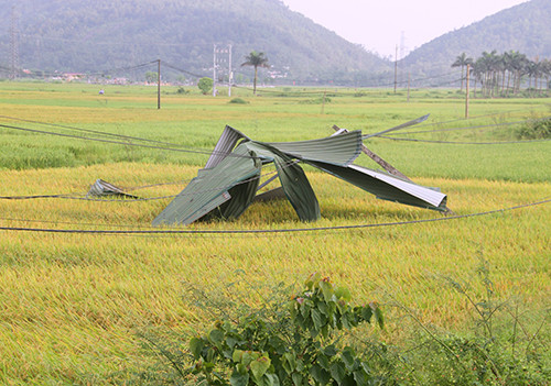 Lốc xoáy cuốn bay mái tôn, trùm lên xe tải đang chạy trên quốc lộ ảnh 4