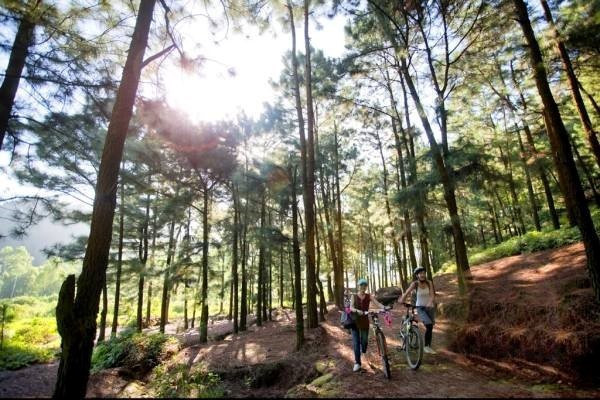 5 điểm mát xanh gần Hà Nội 'trốn nóng' những ngày hè ảnh 2