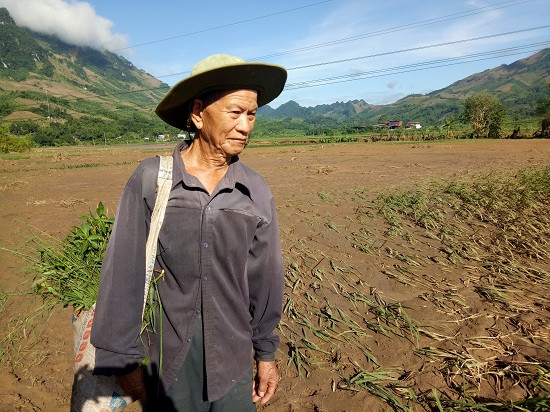 Sơn La: Quặn đau, sau lũ cánh đồng xanh chỉ toàn bùn và cát ảnh 1
