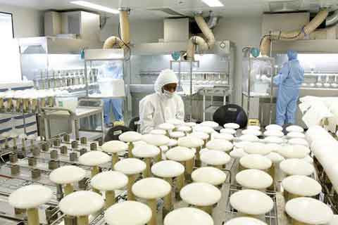 Nhưng sau “động đất”, thị trường túi nâng ngực lại khởi sắc như thường và cơn khát làm đẹp của chị em vẫn vô cùng mãnh liệ