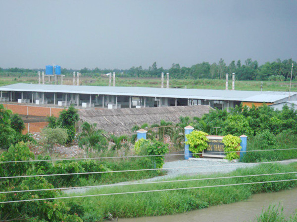 Lò mổ “lậu” giữa TP Sóc Trăng Ảnh: Thanh Ngọc