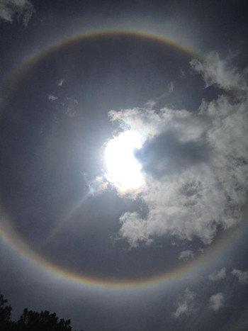 Người xem có thể quan sát bằng mắt thường, quầng mặt trời không ảnh hưởng đến sức khỏe. Ảnh chụp tại Đà Lạt của độc giả tridung dang