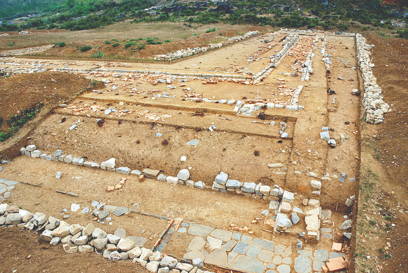 Đàn tế Nam Giao Tây Đô là một kiến trúc quan trọng tổng thể khu di sản Thành nhà Hồ. Khai quật, khảo cổ học đã xác định được cơ bản diện mạo của một đàn tế cổ với nền móng kiến trúc còn tồn tại gần như nguyên vẹn. Hàng loạt kiến trúc quan trọng và độc đáo riêng có cũng đã được xuất lộ qua khai quật, khảo cổ học như: Giếng Vua, đường Thần Đạo, Viên Đàn, hệ thống nền móng các cấp nền đàn, hệ thống cống thoát nước...cùng nhiều hiện vật độc đáo và giá trị như: Đầu chim phượng mỏ vẹt, gạch ngói trang trí...