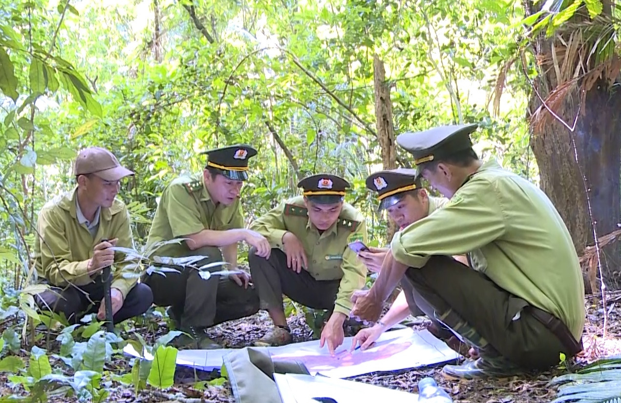 Kiểm lâm viên thực hiện việc điều tra loài Cheo Cheo tại Vườn quốc gia Bến En