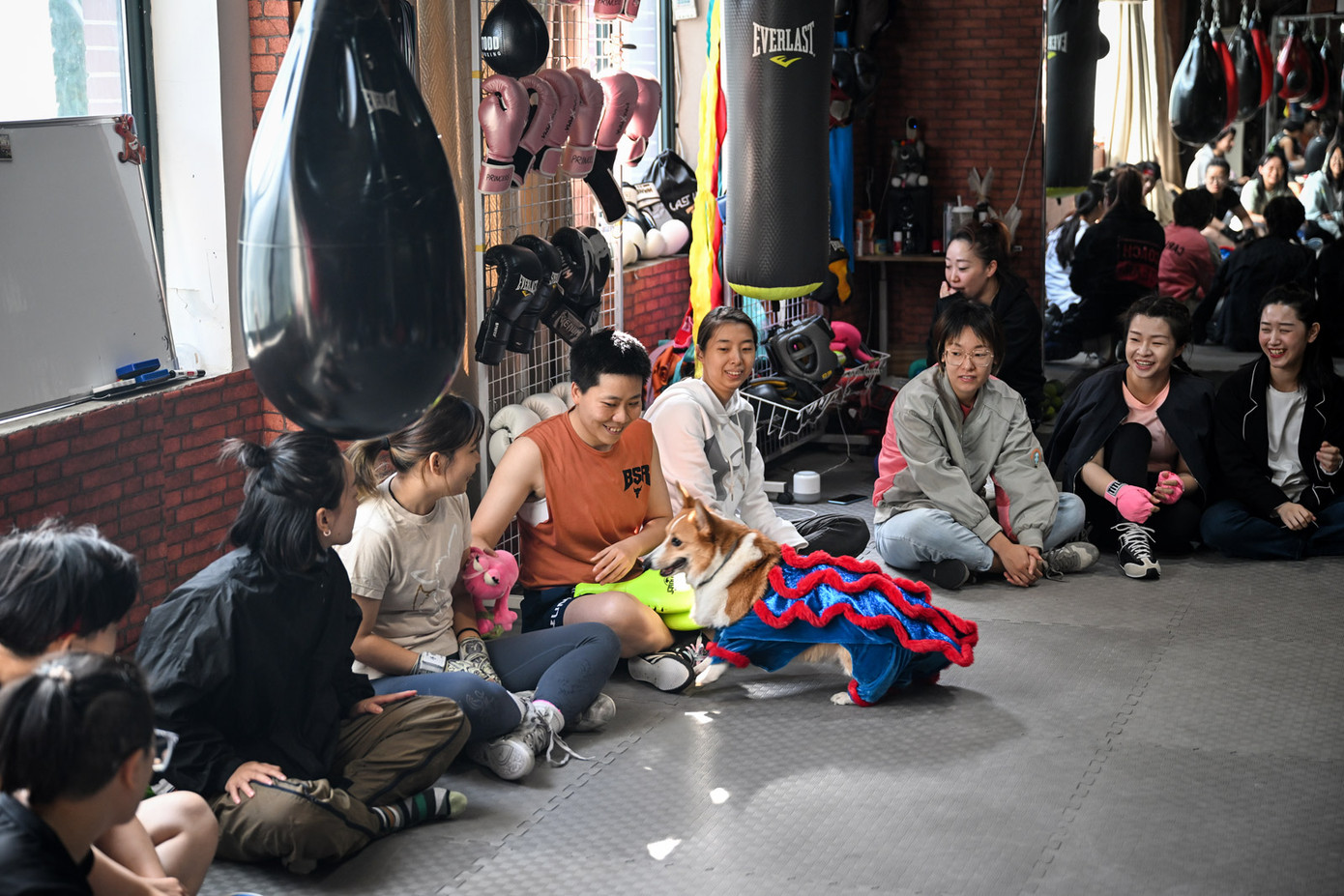 Phòng tập boxing thu hút nhiều học viên nữ.