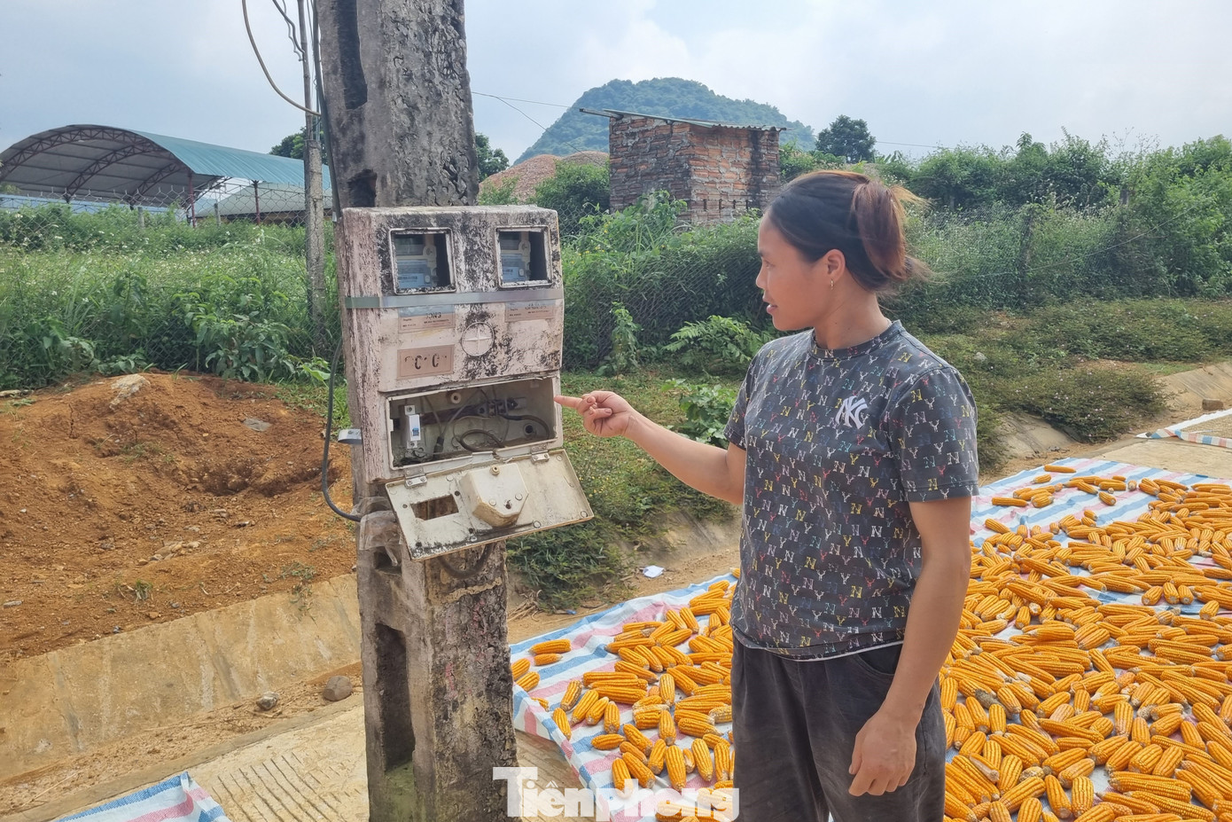 Người dân vô cùng lo lắng trước tình trạng này.