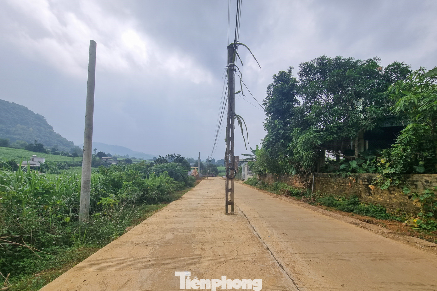 Nhiều cột điện nằm giữa đường.