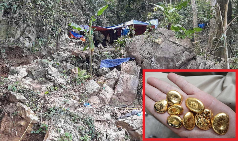 Điểm khai thác vàng trái phép nằm sâu trong rừng. Ảnh: CACC