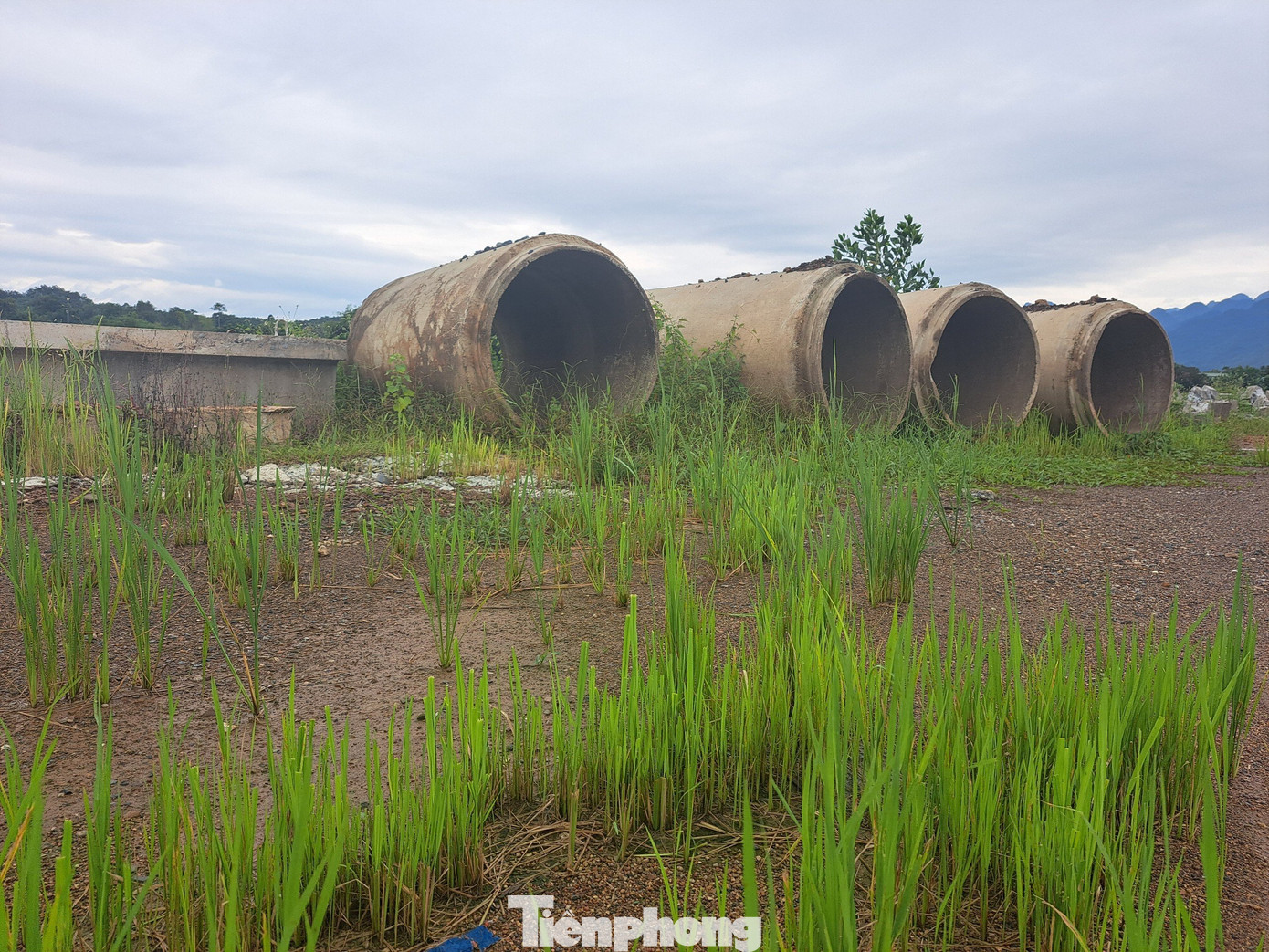 Qua tìm hiểu, dự án cải tạo, nâng cấp đường tỉnh 436 (đoạn Km0+00 -:- Km7+00) có tổng chiều dài tuyến khoảng 7km; điểm đầu tại Km 106+724 quốc lộ 6 thuộc địa phận xã Phong Phú, huyện Tân Lạc (Hòa Bình), điểm cuối thuộc địa phận xã Nhân Mỹ, huyện Tân Lạc.