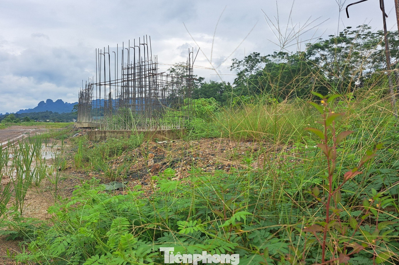 Các cấu kiện, vật liệu tập kết ngổn ngang dọc tuyến đường đang thi công dang dở, đan xen vào đó là cây, cỏ dại mọc um tùm. Phần lớn các cấu kiện, hạng mục làm bằng bê tông cốt thép đã hoen gỉ. Bị ảnh hưởng lớn nhất là cây cầu, toàn bộ phần sắt thép đã chuyển sang màu vàng.