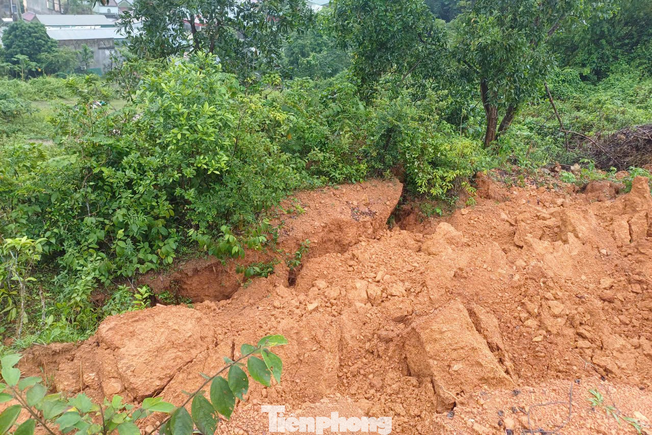 Vị trí xảy ra sụt lún nằm trên khu vực đồi cao, cách khu dân cư khoảng 200m, bao quanh diện tích khoảng 3.000m2.