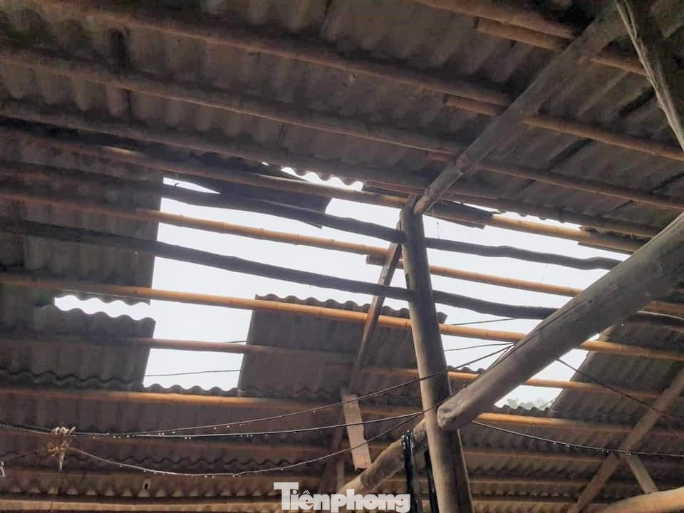 Ông Lò Văn Chủ cũng chia sẻ: “Theo thống kê sơ bộ, địa bàn xã có khoảng 30 ngôi nhà của người dân bị tốc mái, trường mầm non và trường dân tộc bán trú cũng bị tình trạng tương tự. Mưa đá không gây thiệt hại lớn về tài sản".