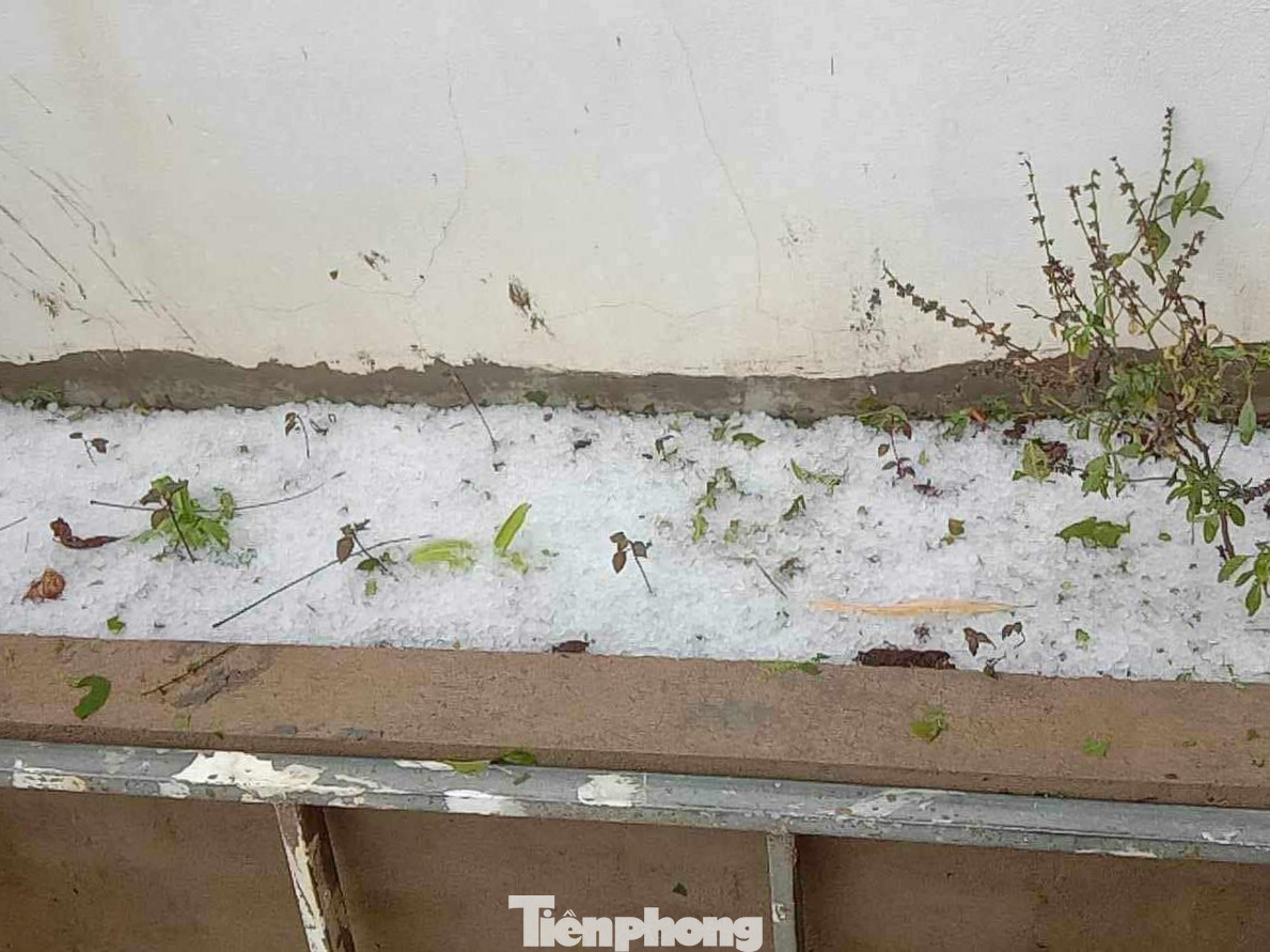 Bên cạnh đó, tuy mưa đá không lớn và chỉ xảy ra trên phạm vi hẹp nhưng đã ảnh hưởng đến nhà cửa và hoa màu của bà con.