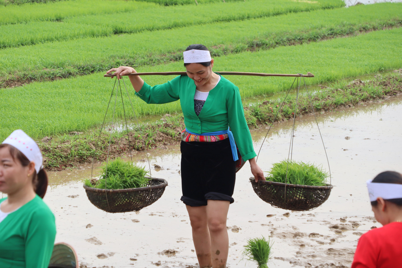 Trong không khí rộn ràng của lễ hội, những đường cày và nhánh mạ đầu tiên của năm mới được gieo xuống đồng với mong muốn một năm cây cối tươi tốt, mùa màng bội thu.