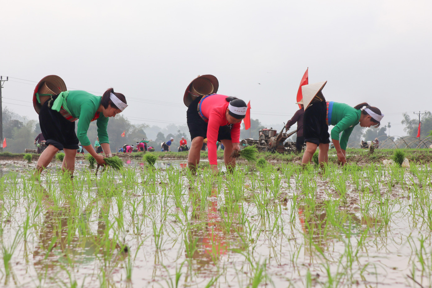 Đoàn rước kiệu Quốc Mẫu Hoàng Bà ra trước ruộng để chứng kiến hoạt động cày cấy của người dân nơi đây.