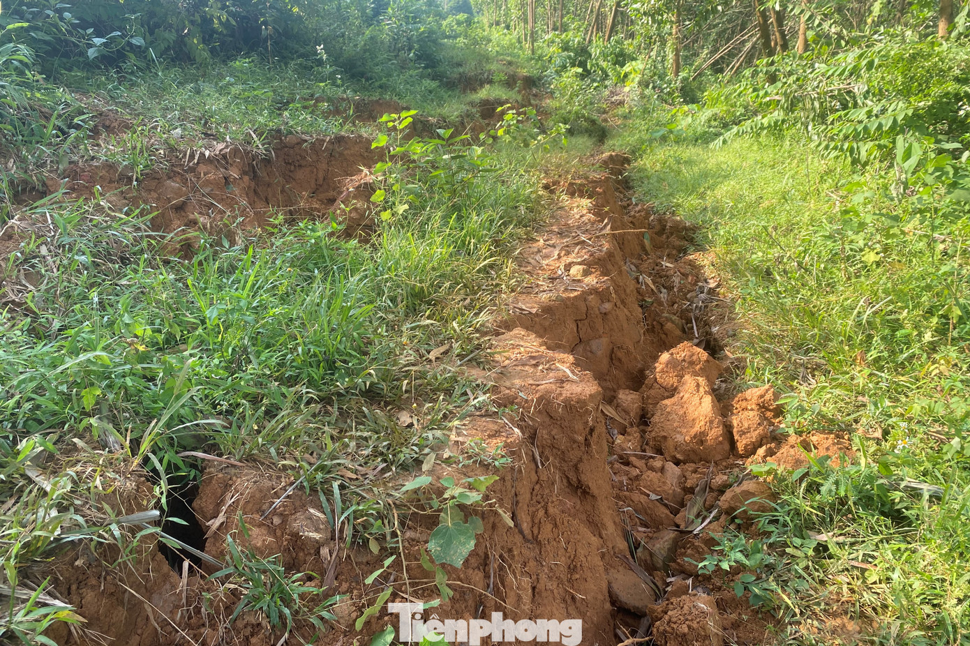 Trước đó, ngày 20/9, Chủ tịch UBND tỉnh Hòa Bình Bùi Văn Khánh đã ký quyết định công bố tình huống khẩn cấp về thiên tai gây sạt lở đất, đá tại khu vực xóm Rài, xã Tuân Đạo, huyện Lạc Sơn.