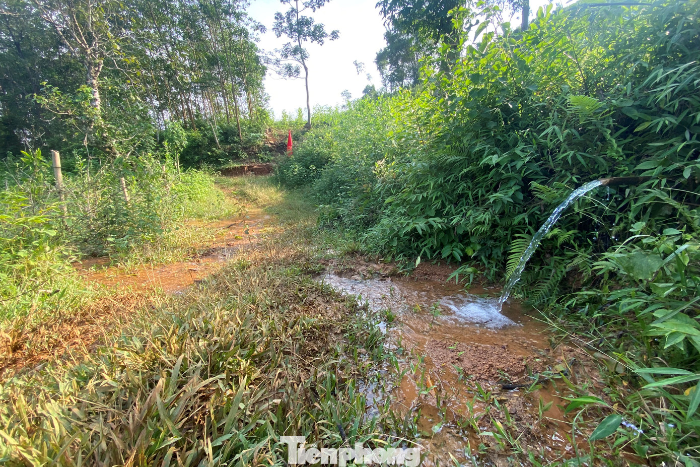 Đến sáng nay (22/9) tại khu vực đồi Cây Đa Bái Rài trời đang mưa to, sụt lún diễn ra với tốc độ nhanh hơn và hiện có thêm 3 hộ bị đất đá sạt vào nhà. Một số mạch nước trên đồi mới được hình thành.