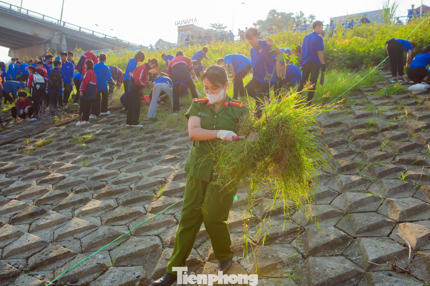 Dọn dẹp đến đâu, lực lượng đoàn viên xử lý đến đó bằng hình thức thu gom, quét dọn, tiêu hủy.