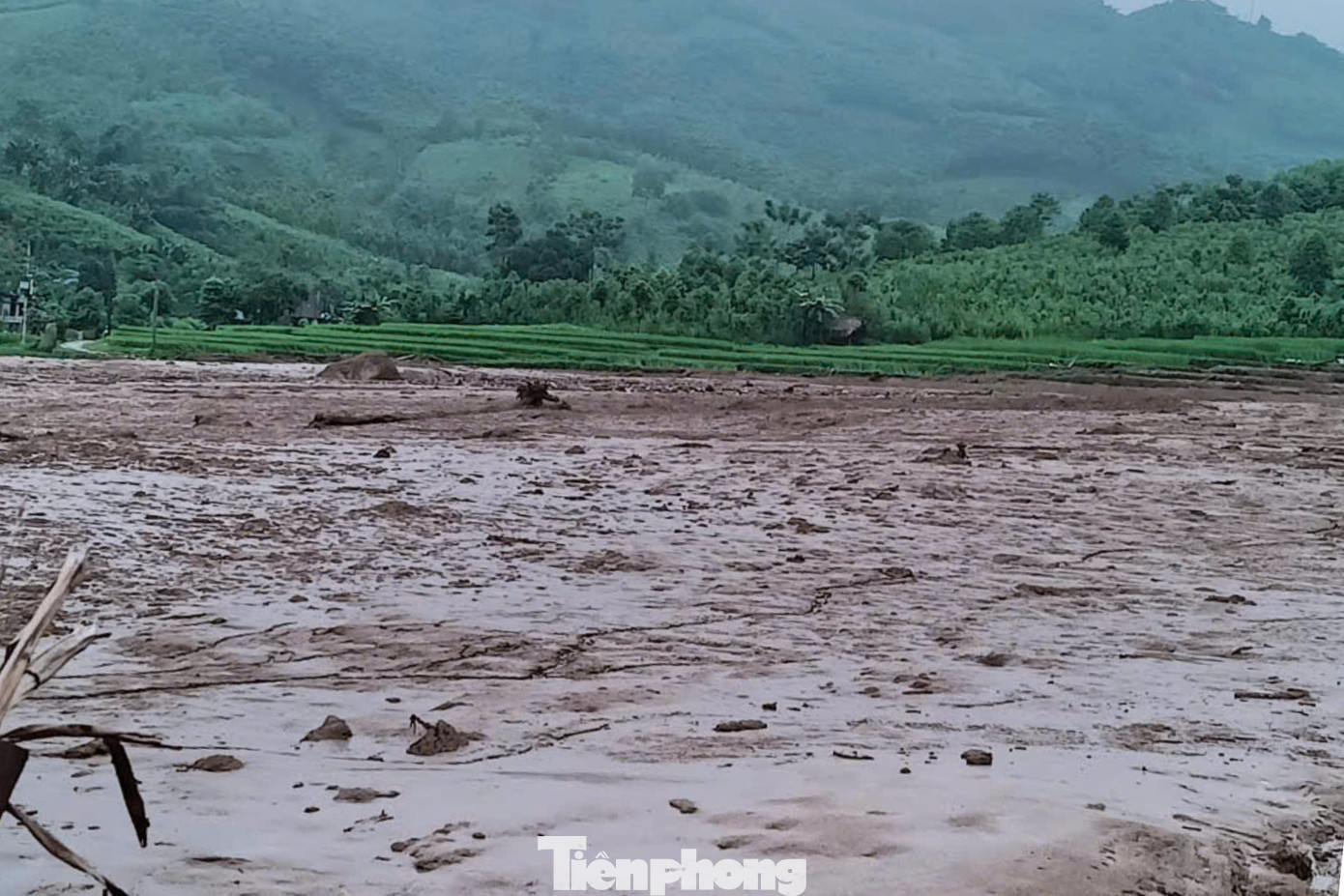 Vùng thung lũng rộng hơn 20ha bị vùi lấp bởi bùn đất. Vùng thung lũng rộng hơn 20ha bị vùi lấp bởi bùn đất.