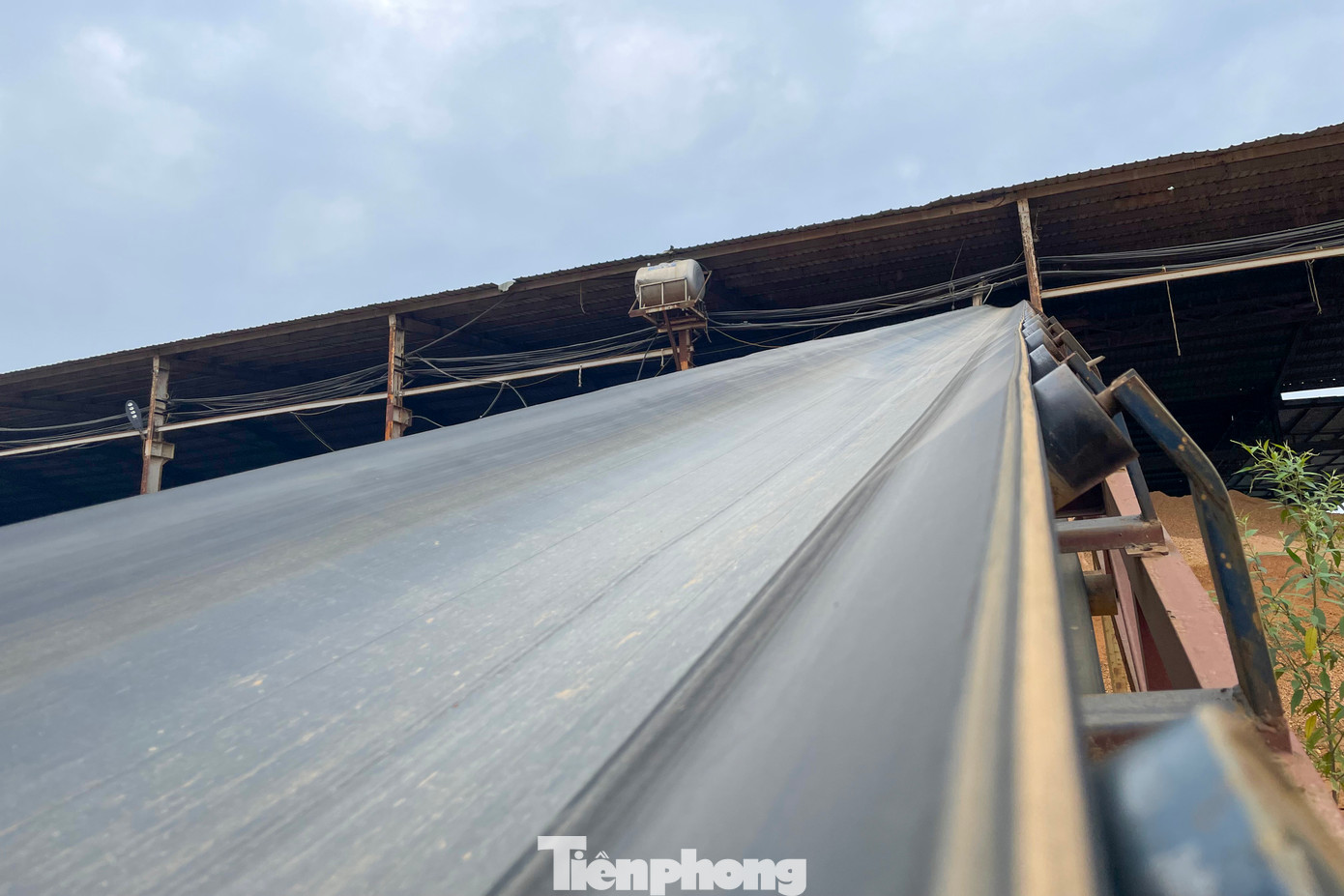 Tại hiện trường, một hệ thống băng chuyền được lắp đặt dùng để vận chuyển đất từ điểm khai thác vào khu vực nhà máy gạch.