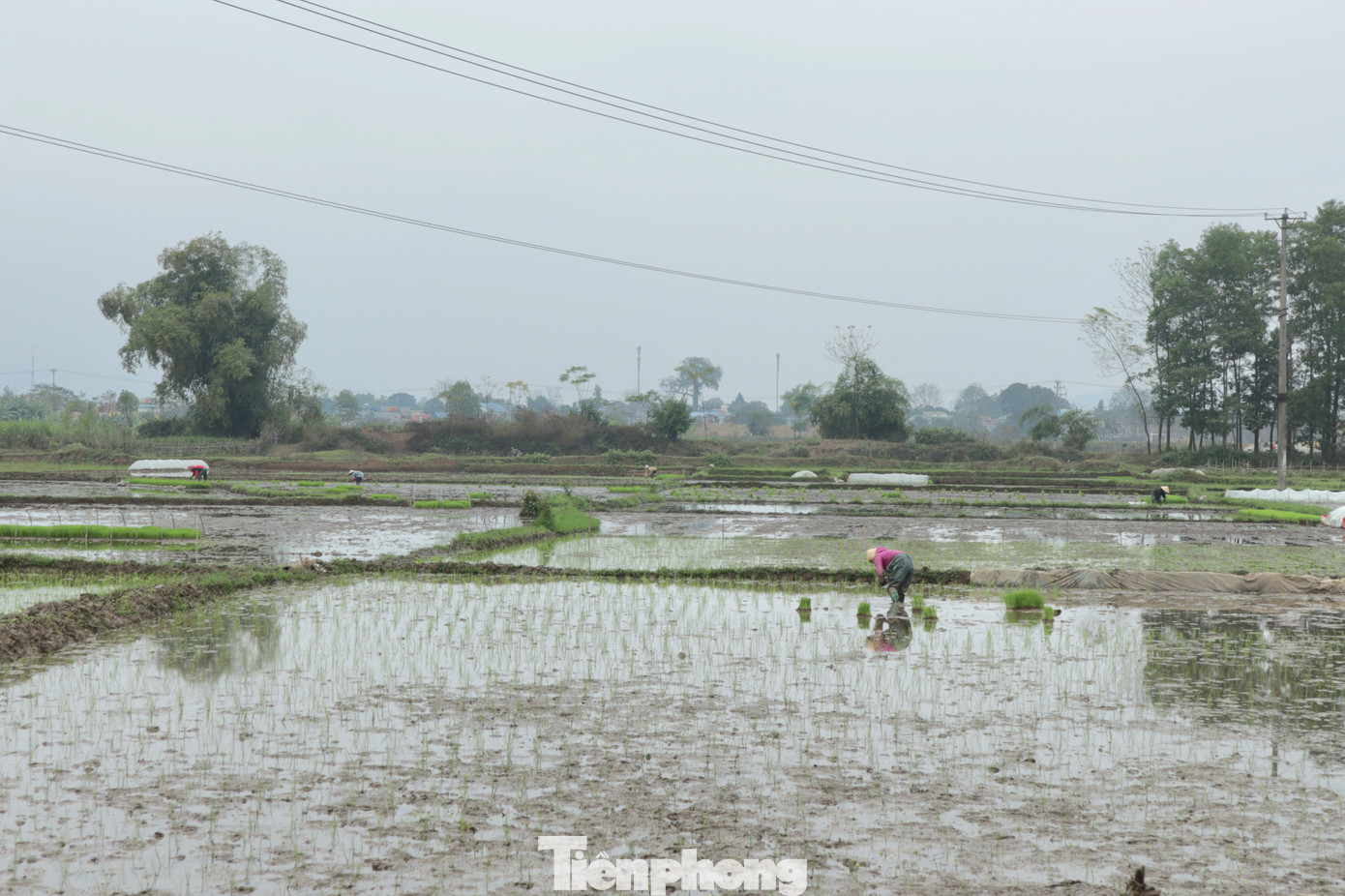 Những ngày qua, miền Bắc chịu ảnh hưởng của đợt không khí lạnh kéo dài khiến nhiệt độ giảm thấp nhất trong mùa đông năm nay.