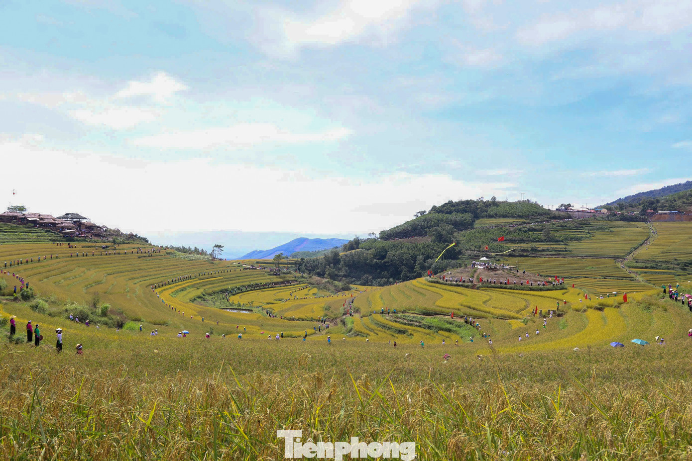 Đến với chợ phiên, du khách còn được trải nghiệm, chiêm ngưỡng những thửa ruộng bậc thang vàng óng, trải dài khắp các triền đồi, thung lũng – tựa như dải lụa vàng nằm giữa núi rừng Tây Bắc.
