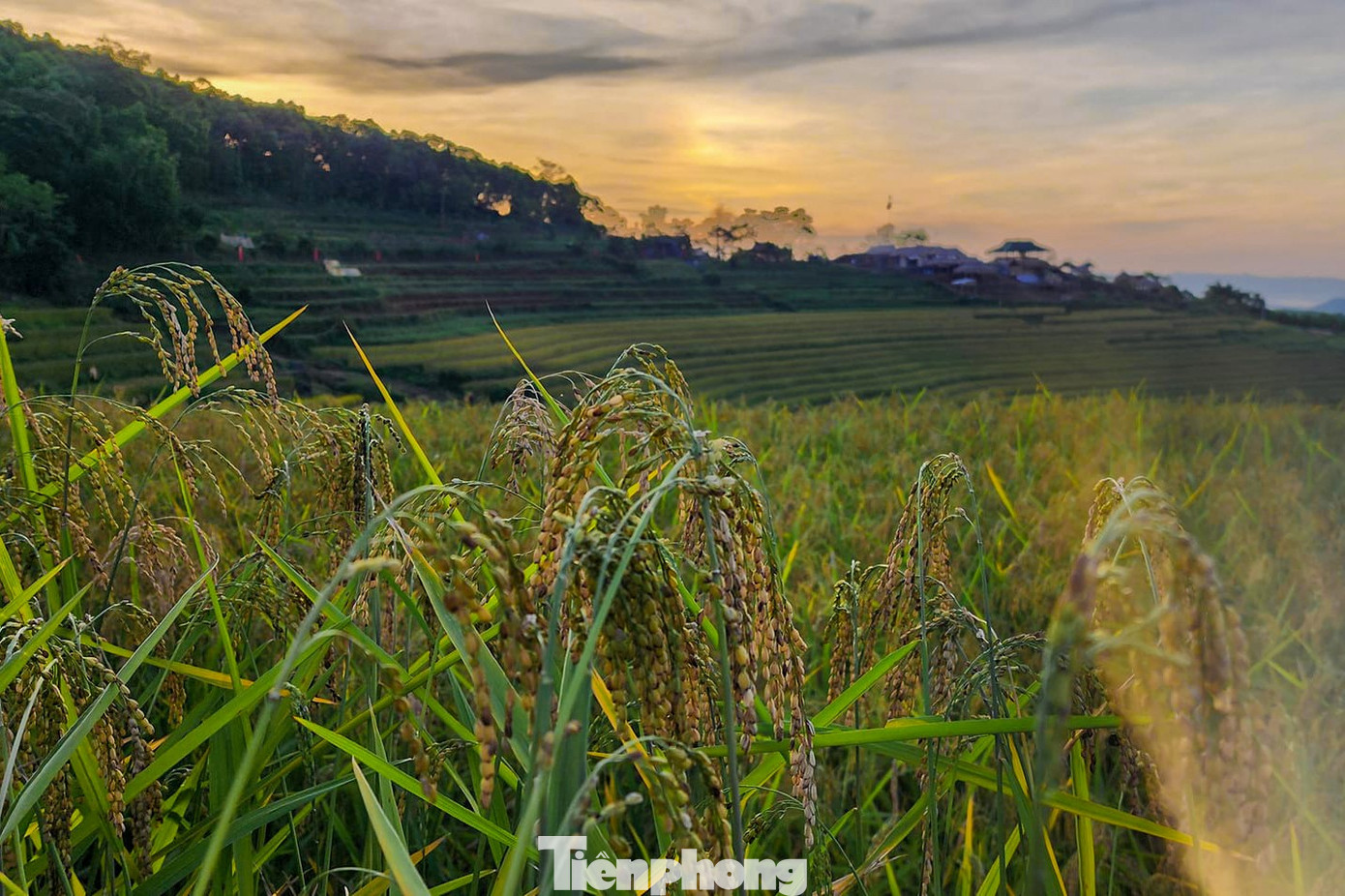So với khu vực toàn huyện Lạc Sơn, xã vùng cao Miền Đồi có cảnh quan ruộng bậc thang đặc sắc hơn cả, với diện tích khoảng 800 ha.