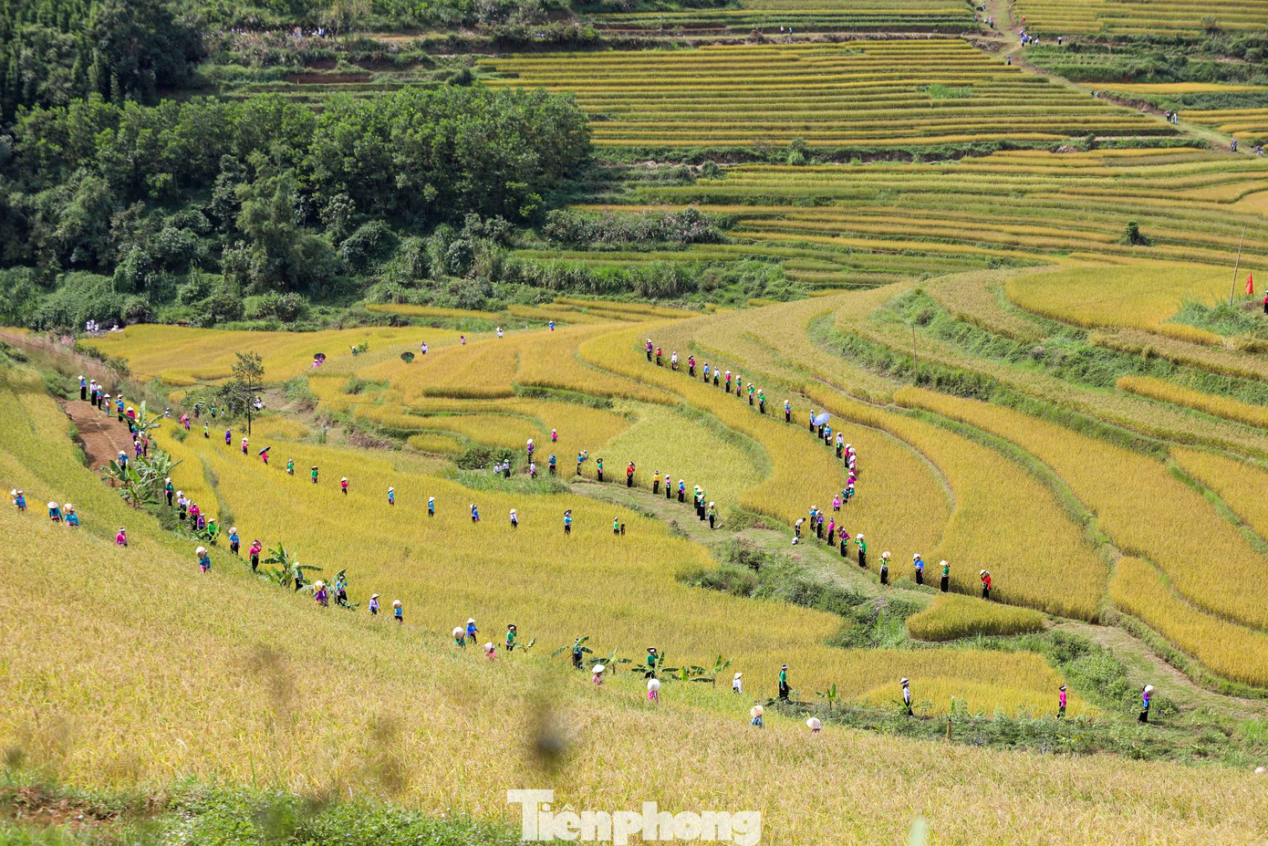 Phiên chợ vùng cao này, còn có các hoạt động sôi nổi khác như: Trình diễn chiêng Mường trên những thửa ruộng bậc thang với 500 phụ nữ tham gia, 100 chiêng Mường hòa tấu trên những thửa ruộng bậc thang,...