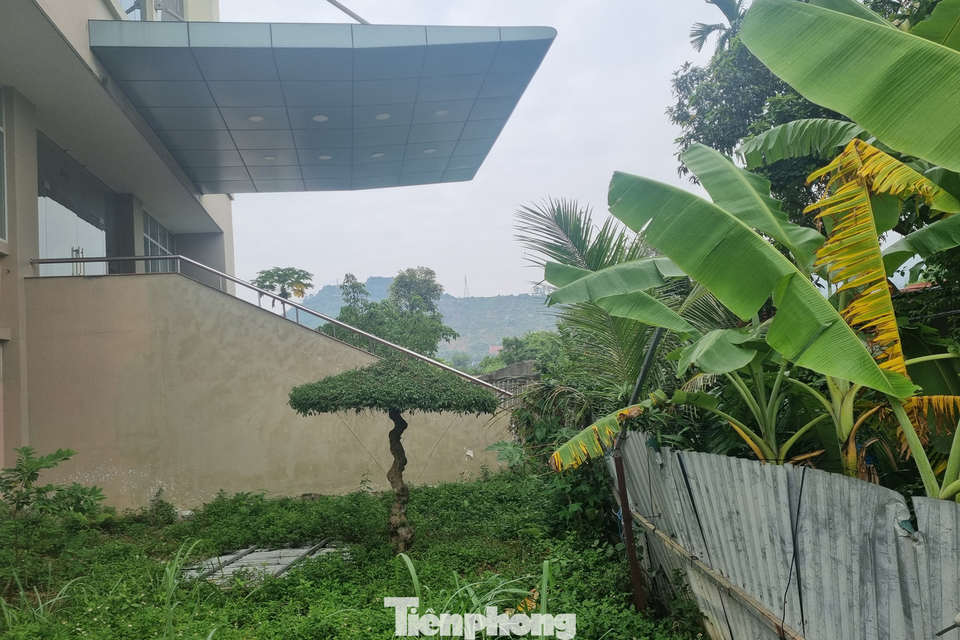 Sảnh trước của trụ sở bị chặn bởi hàng cây và hàng rào tôn.