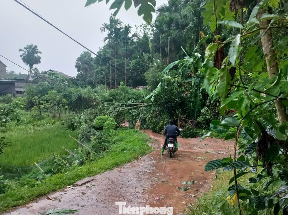 Một số tuyến đường bị cây đổ chắn ngang đường.