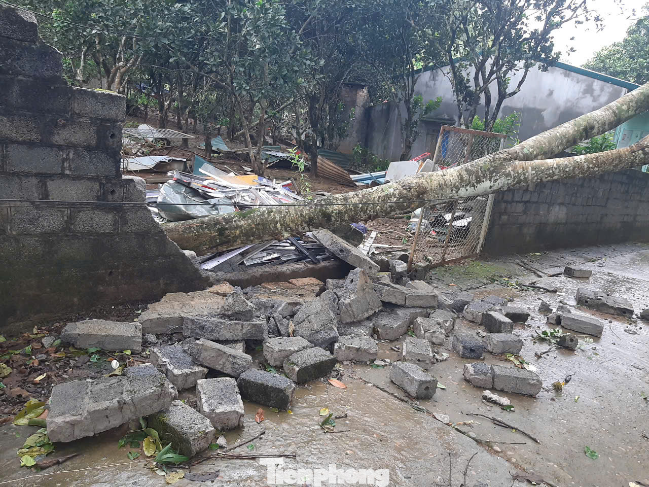 Cây đổ, gãy cành do dông lốc khiến nhiều ngôi nhà và các công trình khác bị hư hại nặng nề.