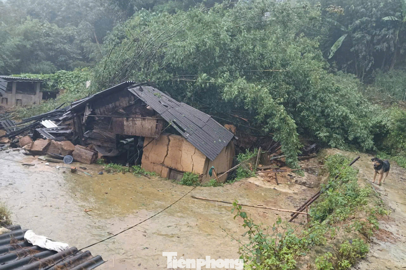 Mưa lớn, sạt lở đất trên địa bàn huyện Bát Xát đã làm 10 người mất tích và 5 người bị thương. Tuy nhiên, do chiều tối 9/9, trời vẫn mưa to và tiếp tục sạt lở nên gây ra rất nhiều khó khăn cho công tác tìm kiếm các nạn nhân.