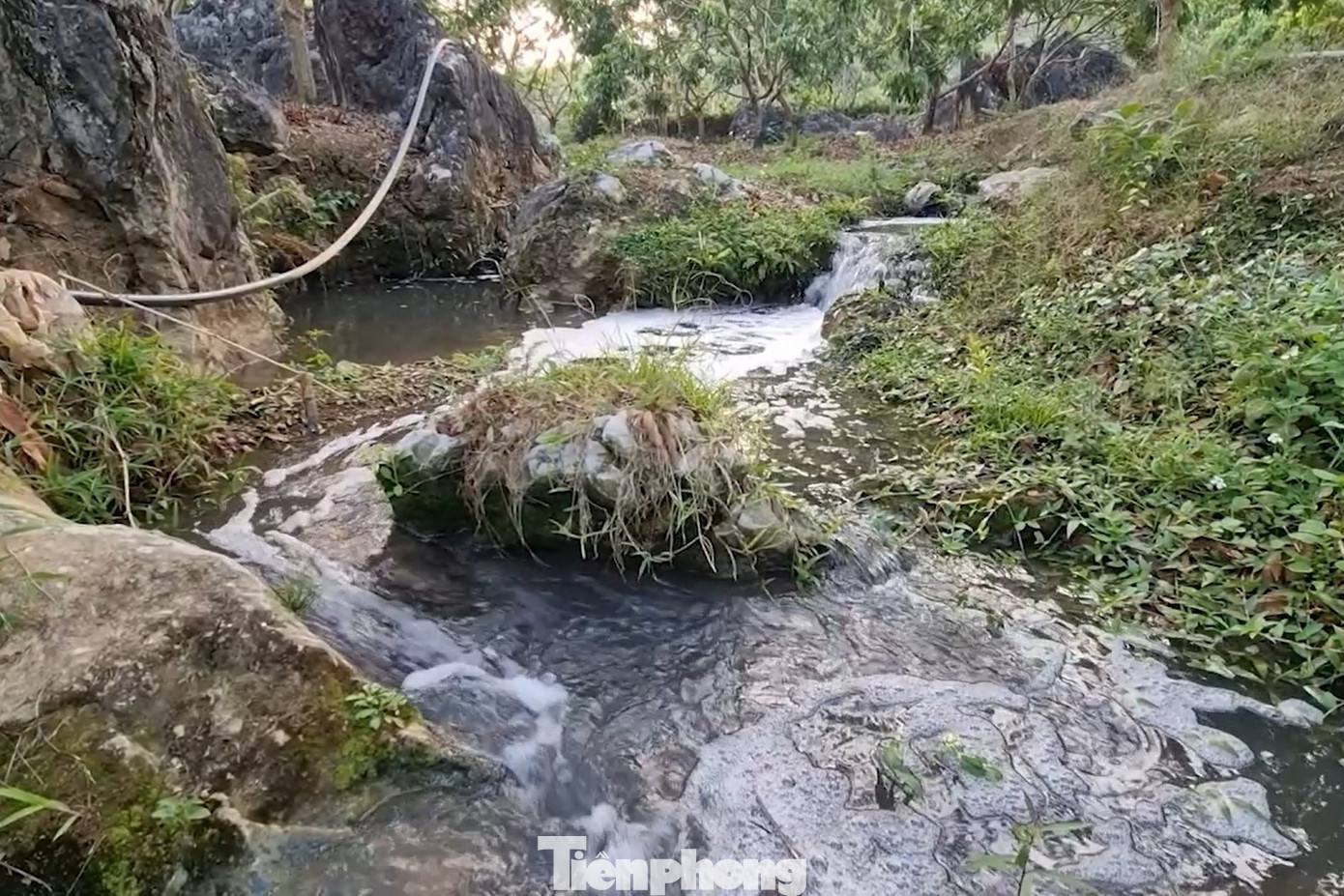 Nước suối bị ô nhiễm do chất thải từ hoạt động sơ chế cà phê