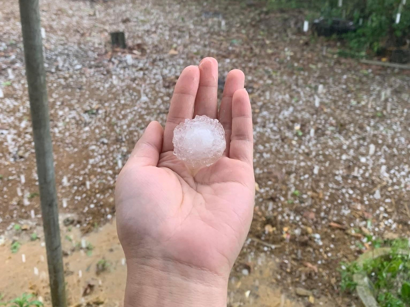 Các viên đá trong trận mưa có đường kính từ 1 đến 2cm.